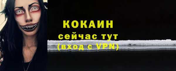стаф Белокуриха