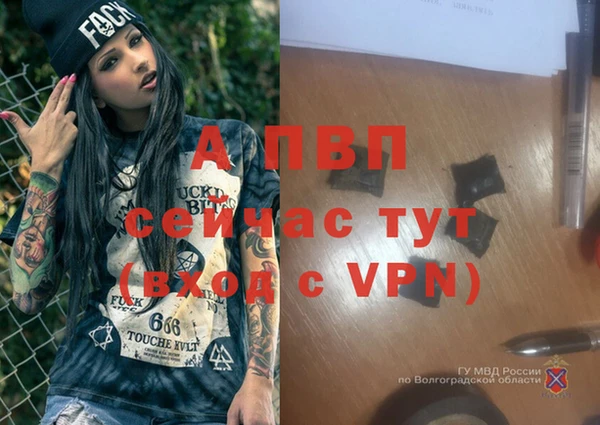 гидра Белоозёрский