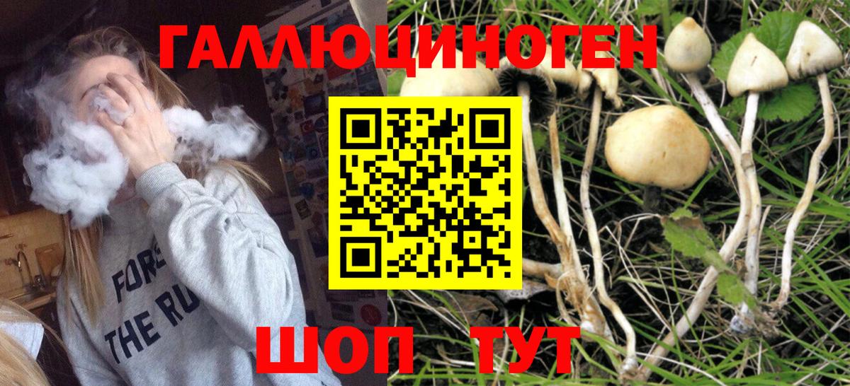 Галлюциногенные грибы Cubensis  Вход с VPN  Сердобск 