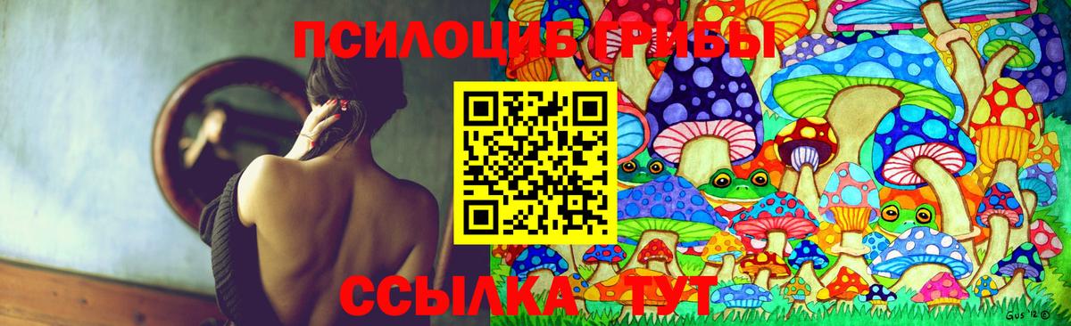 Галлюциногенные грибы Magic Shrooms Сердобск